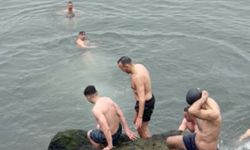 Buz gibi suda yüzdüler