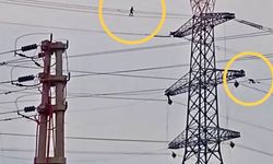 Yüksek gerilim hattında “ip cambazı” işçiler