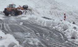 Çığ düştü, yolcu otobüsü yolda mahsur kaldı