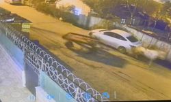 Başıboş at park halindeki araçlara çarptı