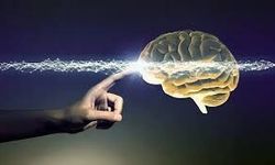 'Beynimiz düşündüğümüzden çok daha esnek'