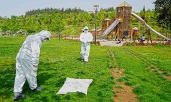 Yağışlar arttı, kene kabusu geri mi dönecek?