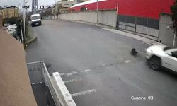 Seyir halindeki cip köpeği ezdi