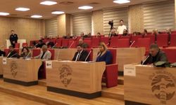 Şile Belediye Meclisi'nde 'barınak' tartışması çıktı