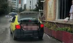 Taksinin bagajında mide bulandıran görüntü