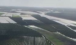 Tarlalar sulara gömüldü