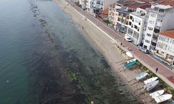 Deniz çekildi, 'Kral Yolu' ortaya çıktı