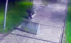 Yerde bulduğu telefonu çalan şüpheli yakalandı