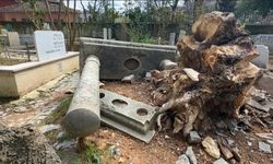 Fırtınada devrilen ağaçlar mezarlara zarar verdi