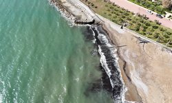 Sahildeki siyah tabaka önce tedirgin etti, gerçek sonradan ortaya çıktı