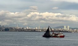 Av yasağı öncesi istavrit bolluğu: Tezgahlar dolu