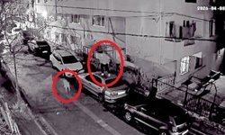 Avcılar’da gece yarısı köpek paniği kamerada