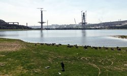 Kanal İstanbul bölgesinde büyük dönüşüm