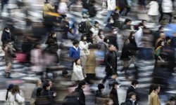 Ücretli çalışan sayısı şubat ayında arttı