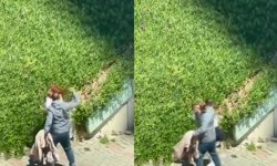 Maltepe’de kadına sokak ortasında şiddet