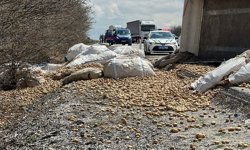 Patates yüklü TIR kaza yaptı