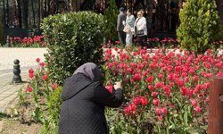 Lale mevsimi İstanbul’u sardı