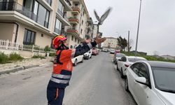 Havalandırma boşluğuna düşen kuşları itfaiye kurtardı