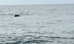 İğneada açıklarında tespit edilen mayın imha edildi