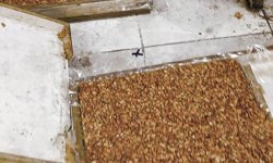 Kötü koku gerçeği ortaya çıkardı: Mide bulandıran üretim durduruldu