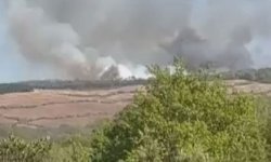 Beykoz'da orman yangını