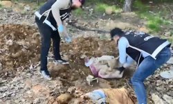 İstanbul’da büyük operasyon