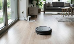 Süpürgelere isim verildi, evde yıldız oldular!