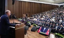 'Biz Türk diasporasına sırtımızı dönemeyiz'