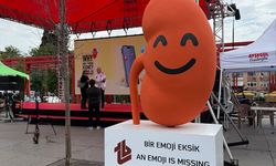 Türkiye'den dijital dünyaya çağrı: Böbrek sağlığının da emojisi olsun