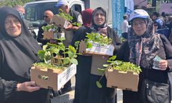 Beykoz'da 1 milyon 700 bin fide toprakla buluşuyor