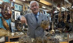 Balıkçı Kenan'dan "balon balığı" uyarısı