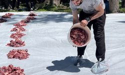 Bir asırlık gelenek yaşatıldı: 140 kurban köy halkına dağıtıldı