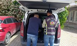 Fatih’te trafikte “ısrarlı takip” cezası: Sürücüye 180 bin TL