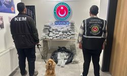 Ticaret Bakanlığı: 659 kilo uyuşturucu ele geçirildi