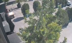 Maltepe’de şok baskın: Koli içinden yasaklı madde çıktı