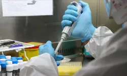 Ünlülerin test sonuçları belli oldu