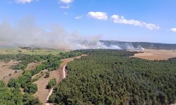 Çanakkale'de orman yangını