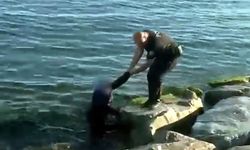 Denizde can pazarı: Yunus ekipleri yetişti