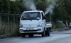 Küçükçekmece’de sivrisinek alarm