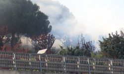 Kağıthane'de otluk alanda çıkan yangın söndürüldü