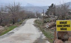 'Kuduz' alarmı; karantina uygulaması başlatıldı