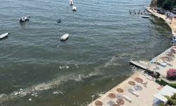 Marmara’da alg patlaması uyarısı: Müsilajın habercisi olabilir