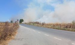 Silivri'de korkutan yangın