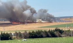 Silivri'de otluk alanda yangın