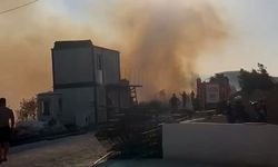 Avcılar'da otluk alanda çıkan yangın söndürüldü