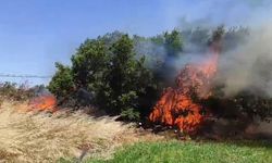 Çanakkale'de tarım arazisinde yangın