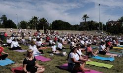 Mimaroba Parkı'nda yoga şöleni