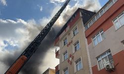 Avcılar’da çatı katında çıkan yangında 10 kedi öldü