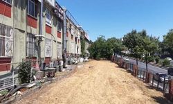 Başakşehir'de çevre tartışması: Otopark için ağaç kesildiği iddiası