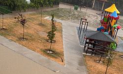 Sağanak ve fırtına; ağaçlar devrildi